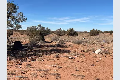 3635 Bull Hollow Road, Snowflake, AZ 85937 - Photo 13