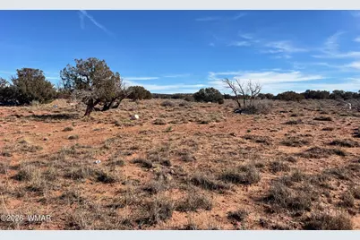 3635 Bull Hollow Road, Snowflake, AZ 85937 - Photo 5