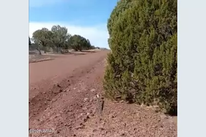 8594 Bobcat Drive, Show Low, AZ 85901 - Photo 3