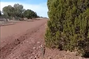 8594 Bobcat Dr, Show Low, AZ 85901 - Photo 1