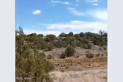 8594 Bobcat Drive, Show Low, AZ 85901 - Photo 3