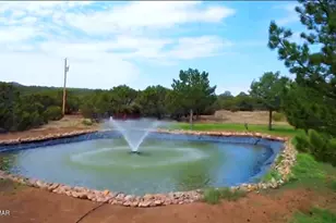 487 Co Rd 3144, Vernon, AZ 85940 - Photo 59