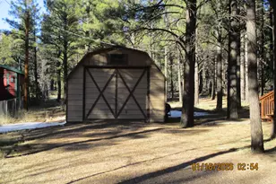 9286 Grizzly Bear Rd, Lakeside, AZ 85929 - Photo 11