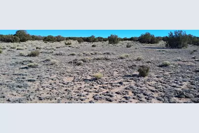 24 County Rd N6578, Saint Johns, AZ 85936 - Photo 11