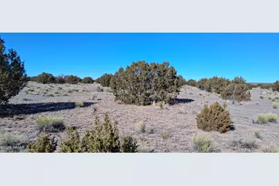 24 County Rd N6578, Saint Johns, AZ 85936 - Photo 5