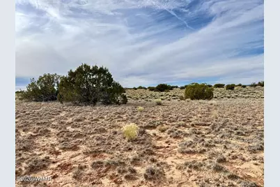 0 Tbd, Saint Johns, AZ 85936 - Photo 5