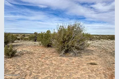 0 Tbd, Saint Johns, AZ 85936 - Photo 17