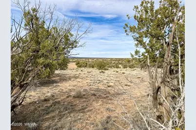 0 Tbd, Saint Johns, AZ 85936 - Photo 19