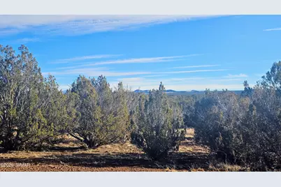 Tbd Coral Road, Show Low, AZ 85901 - Photo 7