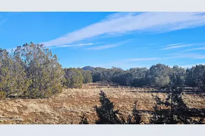 Tbd Coral Road, Show Low, AZ 85901 - Photo 15