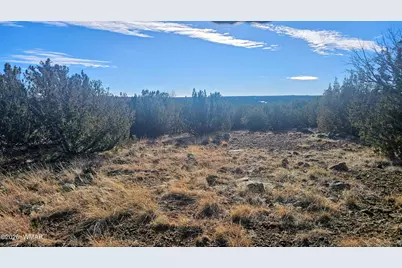 Tbd Coral Road, Show Low, AZ 85901 - Photo 5