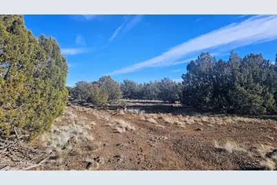 Tbd Coral Road, Show Low, AZ 85901 - Photo 3