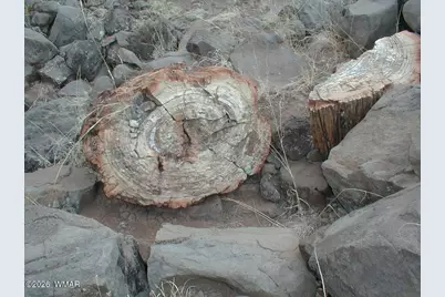 Lot 13 N8526, Concho, AZ 85924 - Photo 3