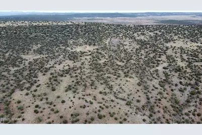 Lot 13 N8526, Concho, AZ 85924 - Photo 7