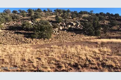 Lot 13 N8526, Concho, AZ 85924 - Photo 11