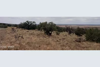 001 N8526, Concho, AZ 85924 - Photo 7