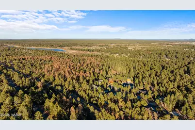 3031 W Alpine Ridge Ridge, Show Low, AZ 85901 - Photo 11