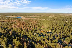 3031 W Alpine Rdg Rd, Show Low, AZ 85901 - Photo 11