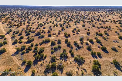 Sw4 Nw4 Section 4 T14N R16E, Heber, AZ 85928 - Photo 7