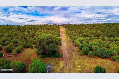 Tbd Co Rd N3218 37 Acres, Vernon, AZ 85940 - Photo 9