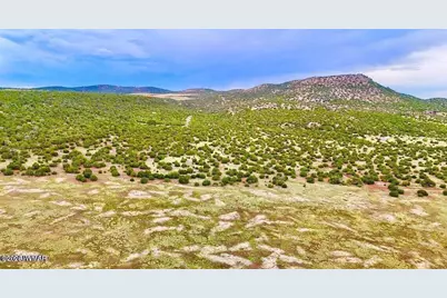 Tbd Co Rd N3218 37 Acres, Vernon, AZ 85940 - Photo 13