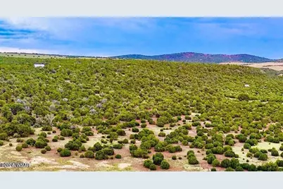 Tbd Co Rd N3218 37 Acres, Vernon, AZ 85940 - Photo 17