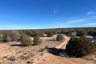 25 N County Rd 7210, Saint Johns, AZ 85936 - Photo 5