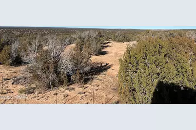 25 N County Rd 7210, Saint Johns, AZ 85936 - Photo 37