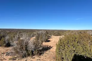 25 N County Rd 7210, Saint Johns, AZ 85936 - Photo 37