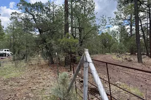 2350 N Blue Grass Ranch Dr, Lakeside, AZ 85929 - Photo 19