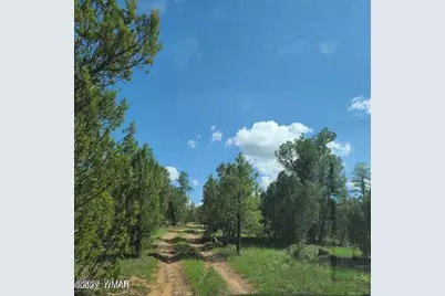 3091 Az-277, Overgaard, AZ 85928 - Photo 5