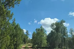 3091 AZ-277, Overgaard, AZ 85928 - Photo 5