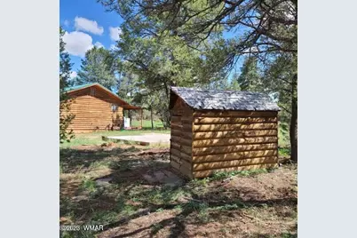 3091 Az-277, Overgaard, AZ 85928 - Photo 31