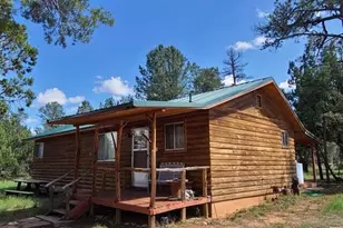 3091 AZ-277, Overgaard, AZ 85928 - Photo 9