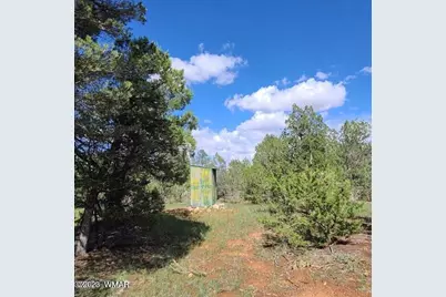 3091 Az-277, Overgaard, AZ 85928 - Photo 13