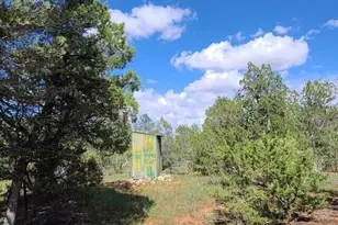 3091 AZ-277, Overgaard, AZ 85928 - Photo 13