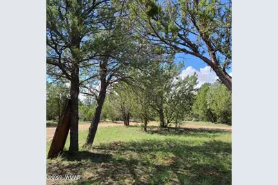3091 Az-277, Overgaard, AZ 85928 - Photo 5