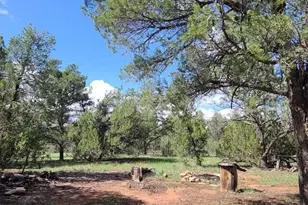 3091 AZ-277, Overgaard, AZ 85928 - Photo 13