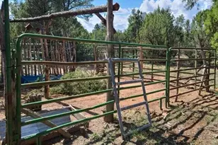 3091 AZ-277, Overgaard, AZ 85928 - Photo 29