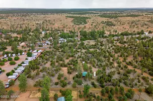 3091 AZ-277, Overgaard, AZ 85928 - Photo 11