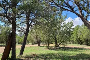 3091 AZ-277, Overgaard, AZ 85928 - Photo 9