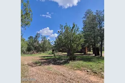 3091 Az-277, Overgaard, AZ 85928 - Photo 7