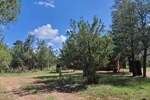 3091 AZ-277, Overgaard, AZ 85928 - Photo 7