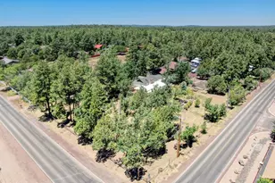 2616 Rainbow Lake Dr, Lakeside, AZ 85929 - Photo 33