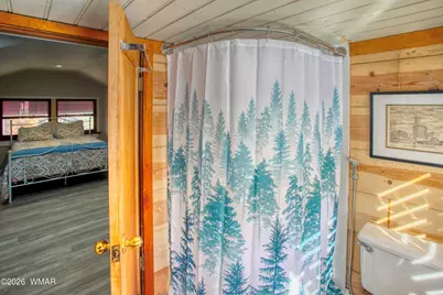 2616 Rainbow Lake Drive, Lakeside, AZ 85929 - Photo 29