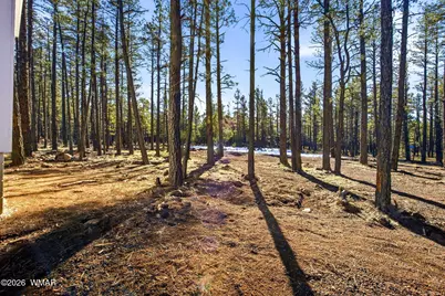 903 Birdsong Way, Lakeside, AZ 85929 - Photo 25