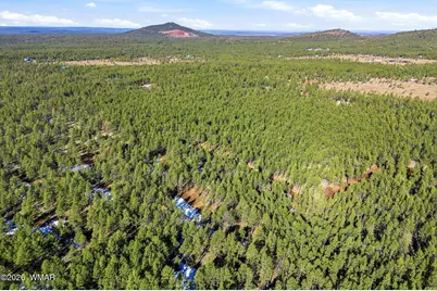 903 Birdsong Way, Lakeside, AZ 85929 - Photo 29