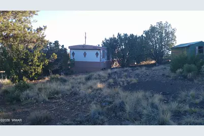 6 County Rd 5061 Lane, Concho Valley, AZ 85924 - Photo 1