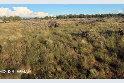 3893 Trebil Boulevard, Snowflake, AZ 85937 - Photo 7