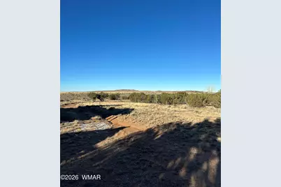 3893 Trebil Boulevard, Snowflake, AZ 85937 - Photo 9